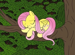 Size: 1200x887 | Tagged: safe, artist:linedraweer, fluttershy, pegasus, pony, g4, commission, cute, eyes closed, folded wings, nap, shyabetes, sleeping, smiling, tree, tree branch