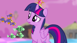 Size: 1440x809 | Tagged: safe, screencap, twilight sparkle, alicorn, fish, pony, g4, princess twilight sparkle (episode), big crown thingy, blurry background, chaos, female, floating, jewelry, mare, purple sky, regalia, school of fish, solo, twilight sparkle (alicorn)