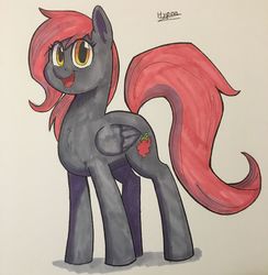 Size: 3024x3100 | Tagged: safe, artist:hypno, oc, oc only, oc:scarlet berry, pegasus, pony, high res, marker drawing, red mane, traditional art