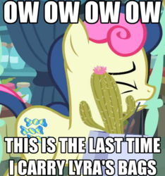 Size: 720x768 | Tagged: safe, edit, edited screencap, screencap, bon bon, sweetie drops, earth pony, pony, g4, marks for effort, cactus, cropped, female, impact font, implied lesbian, implied lyrabon, implied shipping, meme, solo, text