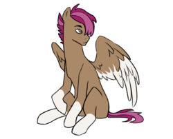 Size: 1000x809 | Tagged: safe, artist:pikokko, oc, oc only, oc:swallow, pegasus, pony, blank flank, coat markings, colored wings, colored wingtips, male, offspring, parent:pipsqueak, parent:scootaloo, parents:scootasqueak, simple background, socks (coat markings), solo, stallion, white background