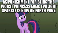 Size: 1280x720 | Tagged: safe, edit, edited screencap, screencap, twilight sparkle, earth pony, pony, g4, the return of harmony, abuse, background pony strikes again, image macro, meme, op is a duck, op is trying to start shit, twilybuse, worst pony, worst princess