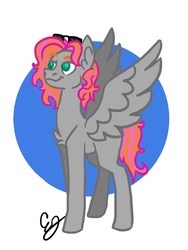 Size: 480x640 | Tagged: safe, oc, pegasus, pony, confident, curly hair, digital art, feather, firealpaca, fluffy, friend, green eyes, long hair, long mane, male, orange highlights, pink mane, pink tail, smug, stallion, sunglasses, wings
