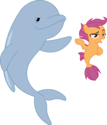 Size: 1520x1765 | Tagged: safe, artist:frownfactory, scootaloo, dolphin, seapony (g4), g4, surf and/or turf, .svg available, female, filly, grin, lidded eyes, seaponified, seapony scootaloo, simple background, smiling, species swap, svg, transparent background, vector
