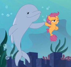Size: 756x718 | Tagged: safe, screencap, scootaloo, dolphin, seapony (g4), g4, surf and/or turf, cropped, duo, female, filly, high five, hoof on chest, raised eyebrow, seaponified, seapony scootaloo, smiling, smirk, species swap, underwater