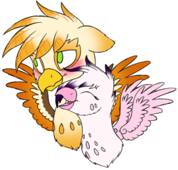 Size: 1510x1446 | Tagged: safe, artist:mynder, oc, oc:ember burd, oc:rosa, griffon, blushing, bust, chirping, colored sketch, colored wings, duo, eared griffon, eyes closed, female, freckles, griffon oc, happy, multicolored wings, nuzzling, simple background, smiling, spread wings, transparent background, wings