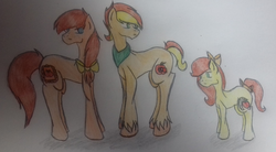 Size: 2903x1608 | Tagged: safe, artist:naito13, oc, oc only, oc:melrose apple, oc:pinova apple, oc:spartan, earth pony, pony, bow, female, hair bow, male, mare, neckerchief, offspring, parent:applejack, parent:caramel, parents:carajack, pencil drawing, siblings, stallion, traditional art, unshorn fetlocks