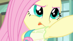 Size: 1100x619 | Tagged: safe, screencap, fluttershy, a little birdie told me, equestria girls, g4, my little pony equestria girls: better together, animated, close-up, clothes, cute, female, gif, shyabetes, solo, tongue out