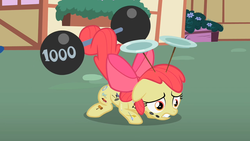 Size: 1280x720 | Tagged: safe, screencap, apple bloom, earth pony, pony, g4, the cutie pox, barbell, crouching, cutie pox, female, filly, plate spinning, prehensile tail, solo, tail hold, weight lifting, weights