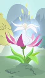 Size: 206x358 | Tagged: safe, screencap, g4, the cutie pox, cropped, flower, no pony, plant, truth blossom