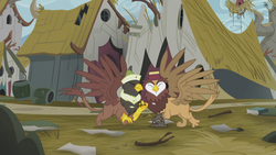 Size: 1920x1080 | Tagged: safe, screencap, gardyloo, gunter, griffon, g4, the lost treasure of griffonstone, background griffon, collision, duo, eyes closed, griffonstone, hat, male, spread wings, wings