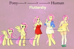 Size: 1280x853 | Tagged: dead source, safe, artist:seshirukun, fluttershy, human, anthro, semi-anthro, unguligrade anthro, g4, bipedal, humanized, pony to human, transformation