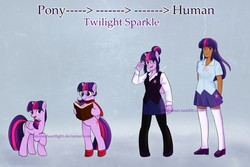 Size: 1280x855 | Tagged: safe, artist:seshirukun, twilight sparkle, alicorn, human, pony, anthro, semi-anthro, unguligrade anthro, g4, anthro chart, anthro with ponies, bipedal, humanized, pony to human, transformation, twilight sparkle (alicorn)