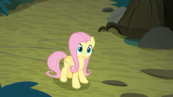 Size: 1920x1080 | Tagged: safe, screencap, fluttershy, pegasus, pony, g4, the mean 6, confused, everfree forest, female, mare