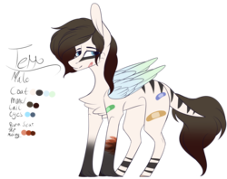Size: 3596x2842 | Tagged: safe, artist:sweetmelon556, oc, oc only, oc:terrance, pegasus, pony, bandaid, colored wings, high res, male, reference sheet, scar, simple background, solo, stallion, transparent background