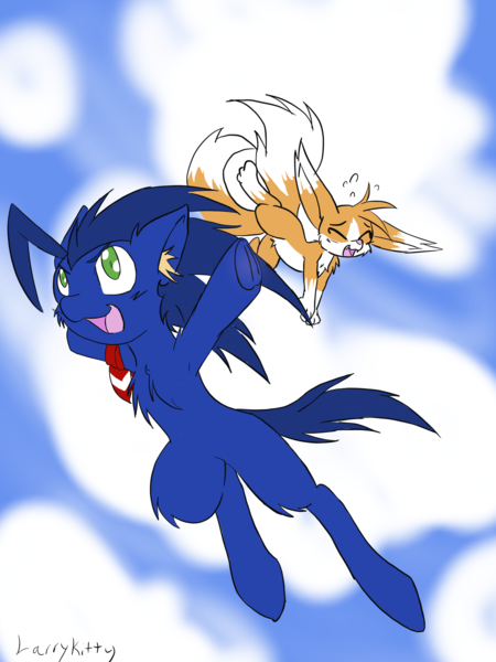 Sonic Fox Oc