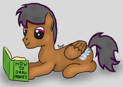Size: 1684x1191 | Tagged: safe, artist:kacpi, oc, oc only, oc:double light, pegasus, pony, book, male, reading, solo