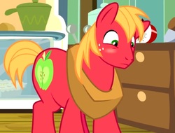 Size: 1016x773 | Tagged: safe, screencap, big macintosh, earth pony, pony, g4, the break up breakdown, blushing, cropped, male, solo, stallion