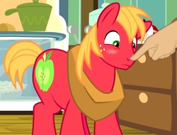 Size: 1016x773 | Tagged: safe, edit, edited screencap, screencap, big macintosh, earth pony, pony, g4, the break up breakdown, boop, boop edit, cropped, finger, hand, male, stallion