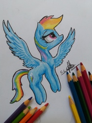 Size: 3096x4128 | Tagged: safe, artist:ironbeastz, rainbow dash, pegasus, pony, g4, female, flying, mare, pencil, pencil drawing, photo, signature, simple background, solo, traditional art, white background