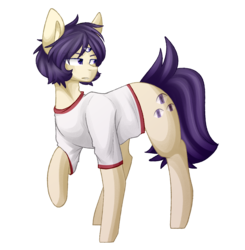 Size: 1410x1440 | Tagged: safe, artist:despotshy, oc, oc only, oc:nell, earth pony, pony, clothes, male, shirt, simple background, solo, stallion, third eye, transparent background