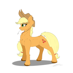 Size: 3000x3000 | Tagged: safe, artist:skitsroom, applejack, earth pony, pony, g4, applejack's hat, cowboy hat, female, hat, high res, mare, simple background, solo, white background