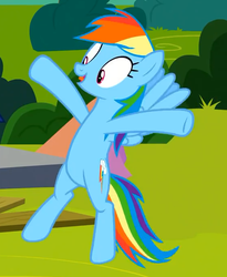 Size: 561x685 | Tagged: safe, screencap, rainbow dash, pegasus, pony, g4, horse play, cropped, female, solo