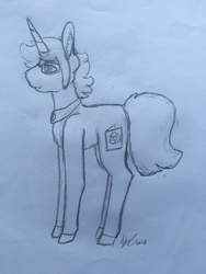 Size: 4032x3024 | Tagged: safe, artist:mlpcreationist, oc, oc only, oc:tome astra, pony, unicorn, solo, traditional art