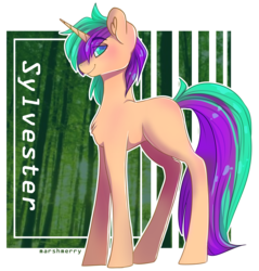 Size: 2637x2760 | Tagged: safe, artist:skylacuna, oc, oc only, oc:sylvester, pony, unicorn, high res, male, simple background, solo, stallion, transparent background