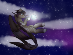 Size: 4000x3000 | Tagged: safe, artist:itssopanda, oc, oc only, oc:time mynx, pegasus, pony, cloud, female, mare, night, solo