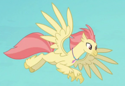 Size: 291x200 | Tagged: safe, screencap, coral sunburst, classical hippogriff, hippogriff, g4, surf and/or turf, background hippogriff, cropped, feathered fetlocks, flying, jewelry, male, necklace, spread wings, wings