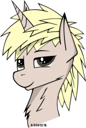 Size: 1024x1527 | Tagged: safe, artist:pegasko, oc, oc:aran, pony, unicorn, bust