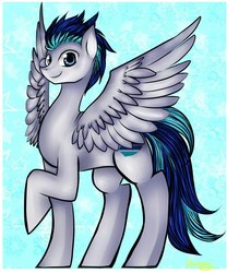 Size: 1000x1200 | Tagged: artist needed, safe, oc, oc only, oc:bloodray, pegasus, pony, male, solo