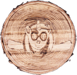 Size: 1005x989 | Tagged: safe, artist:malte279, dj pon-3, vinyl scratch, pony, g4, craft, female, pyrography, simple background, solo, traditional art, transparent background, vinyl disc