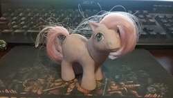 Size: 2048x1152 | Tagged: safe, earth pony, pony, g1, irl, newborn twins, photo, solo, toy