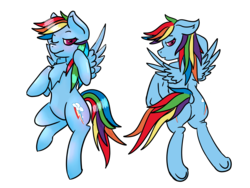 Size: 4000x3000 | Tagged: safe, artist:kiwiscribbles, rainbow dash, pegasus, pony, g4, blushing, body pillow, body pillow design, both cutie marks, butt, chest fluff, female, flying, heart eyes, mare, one eye closed, plot, simple background, solo, transparent background, underhoof, wingding eyes, wings, ych result