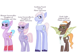 Size: 1024x683 | Tagged: safe, artist:magicandmysterygal, oc, oc only, oc:blossom stormwalker, oc:dusk night, oc:lotus stormwalker jr, oc:soothing touch, bat pony, earth pony, pegasus, pony, adopted, adopted offspring, description is relevant, female, leg wraps, magical lesbian spawn, male, mare, offspring, parent:aloe, parent:cloudchaser, parent:flitter, parent:lotus blossom, simple background, stallion, story in the source, story included, tail wrap, towel, transparent background, unshorn fetlocks