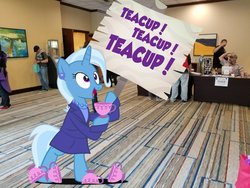 Size: 1200x900 | Tagged: safe, artist:pixelkitties, trixie, human, unicorn, g4, bipedal, clothes, cup, ear piercing, earring, everfree northwest, irl, irl human, jewelry, necklace, photo, photoshop, piercing, ponies in real life, sign, solo, teacup, that pony sure does love teacups