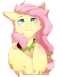 Size: 731x903 | Tagged: safe, artist:suplolnope, fluttershy, pony, g4, alternate hairstyle, cute, female, mare, simple background, solo, white background