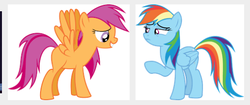 Size: 511x215 | Tagged: safe, rainbow dash, scootaloo, g4, blank flank, google images