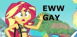 Size: 488x235 | Tagged: safe, edit, edited screencap, screencap, applejack, sunset shimmer, equestria girls, equestria girls specials, g4, my little pony equestria girls: better together, my little pony equestria girls: forgotten friendship, ew gay, homophobia, out of character