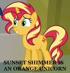 Size: 645x665 | Tagged: safe, sunset shimmer, pony, unicorn, equestria girls, equestria girls specials, g4, my little pony equestria girls: better together, my little pony equestria girls: forgotten friendship, captain obvious, cropped, female, mare, no shit sherlock, solo