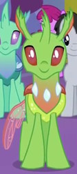 Size: 280x625 | Tagged: safe, screencap, arista, berry punch, berryshine, lucky clover, soupling, changedling, changeling, celestial advice, g4, background changeling, cropped, front view, smiling, solo focus