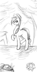 Size: 1250x2400 | Tagged: safe, artist:colochenni, applejack, earth pony, pony, g4, apple, female, flower, food, grayscale, mare, missing cutie mark, monochrome, raised hoof, simple background, sketch, solo, white background