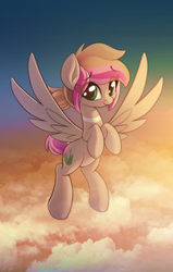 Size: 956x1500 | Tagged: safe, artist:sharemyshipment, oc, oc only, oc:sakura mochi, pegasus, pony, cloud, flying, solo