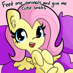 Size: 1650x1650 | Tagged: safe, artist:tjpones edits, edit, editor:dsp2003, fluttershy, pegasus, pony, g4, aminals, baby, baby pony, bronybait, cute, dialogue, female, huge head, looking at you, on back, open mouth, shyabetes, solo, wat