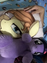 Size: 3088x2320 | Tagged: safe, twilight sparkle, oc, oc:cream heart, earth pony, pony, unicorn, g4, body pillow, earth pony oc, female, high res, mare, merchandise, photo, plushie, unicorn twilight