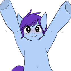 Size: 512x512 | Tagged: safe, artist:beffumsartworks, oc, oc only, oc:deli, pony, armpits, begging, belly button, blue coat, blushing, colored, cute, emoticon, male, puppy dog eyes, purple mane, simple background, smiling, solo, stallion, standing, transparent background, underhoof, upsies