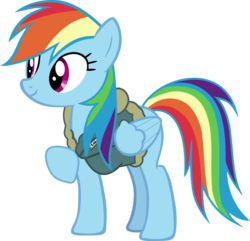 Size: 911x877 | Tagged: safe, alternate version, artist:frownfactory, rainbow dash, pegasus, pony, g4, top bolt, bomber jacket, clothes, cute, dashabetes, female, jacket, simple background, solo, transparent background, vector