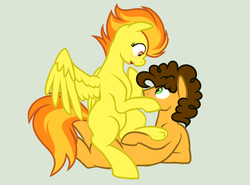 Size: 1204x892 | Tagged: safe, artist:roseloverofpastels, cheese sandwich, spitfire, pony, g4, blushing, cheesefire, crack shipping, female, male, shipping, simple background, spitsandwich, straight